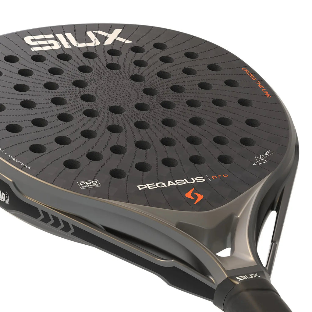 Siux Pegasus Pro Storm Gray 2026